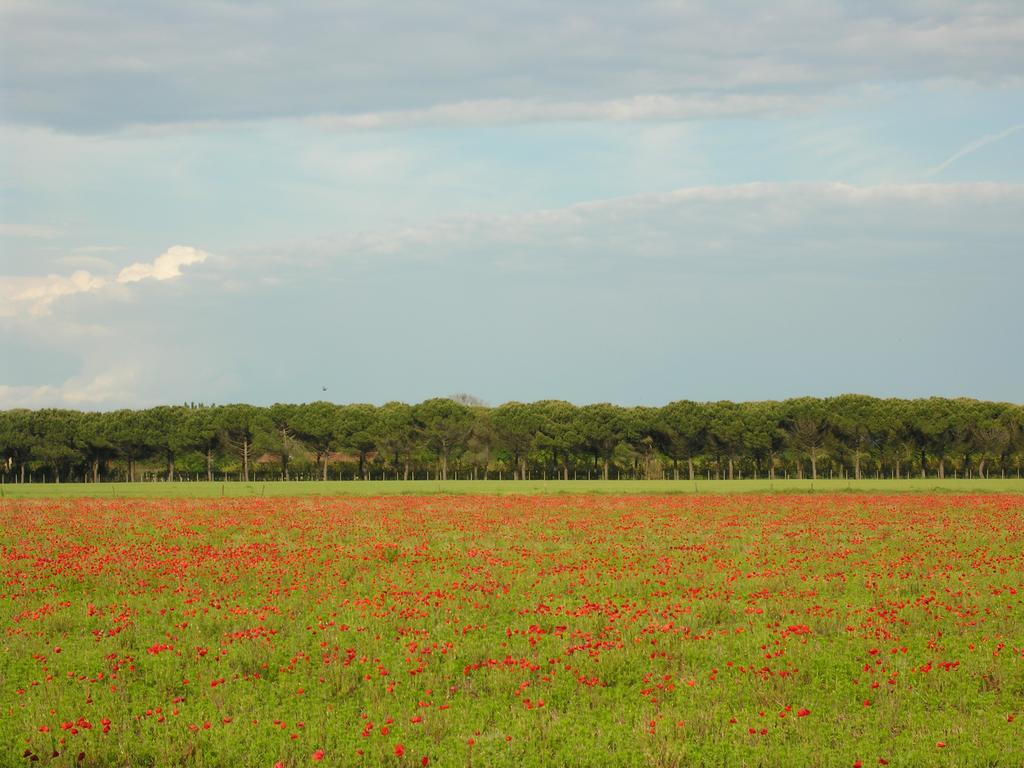 Appartamenti Villaggio San Siro Bibione Luaran gambar